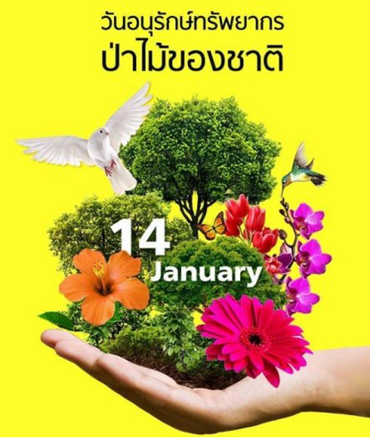 วันที่ 14 มกราคม ของทุกปี  วันอนุรักษ์ทรัพยากรป่าไม้ของชาติ